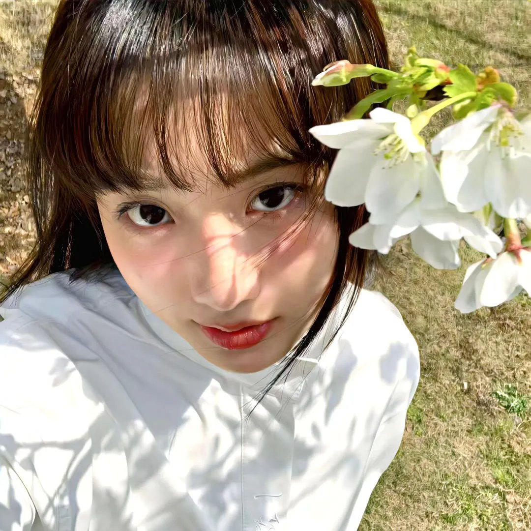 泰渝记